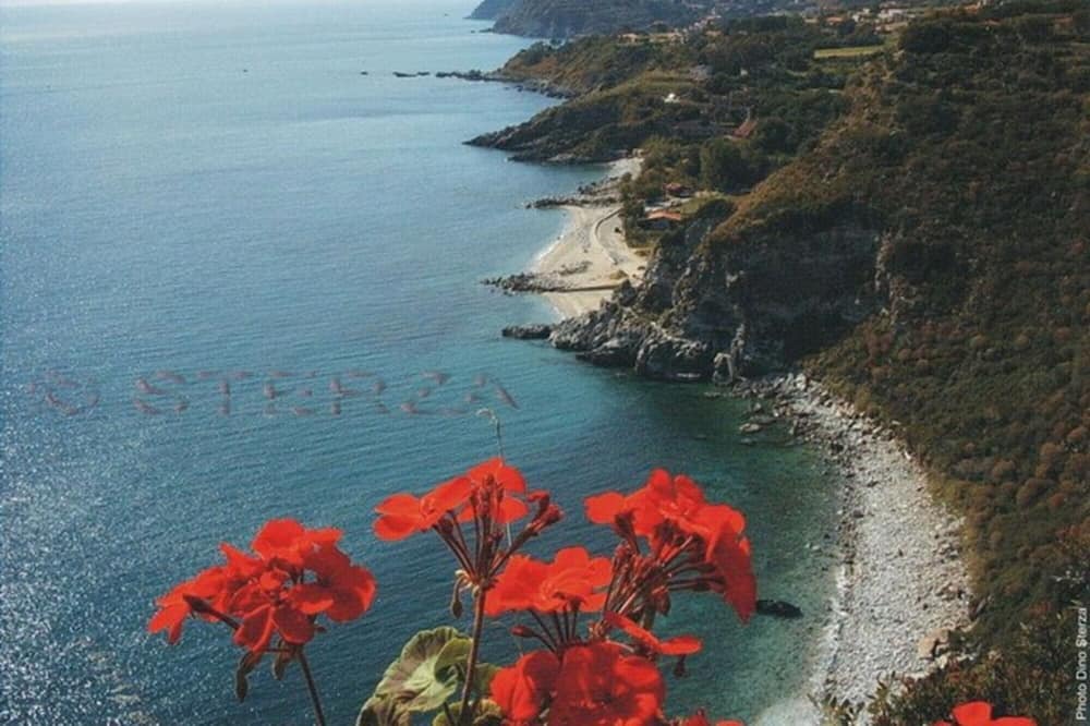 Photo of Others in Coccorino