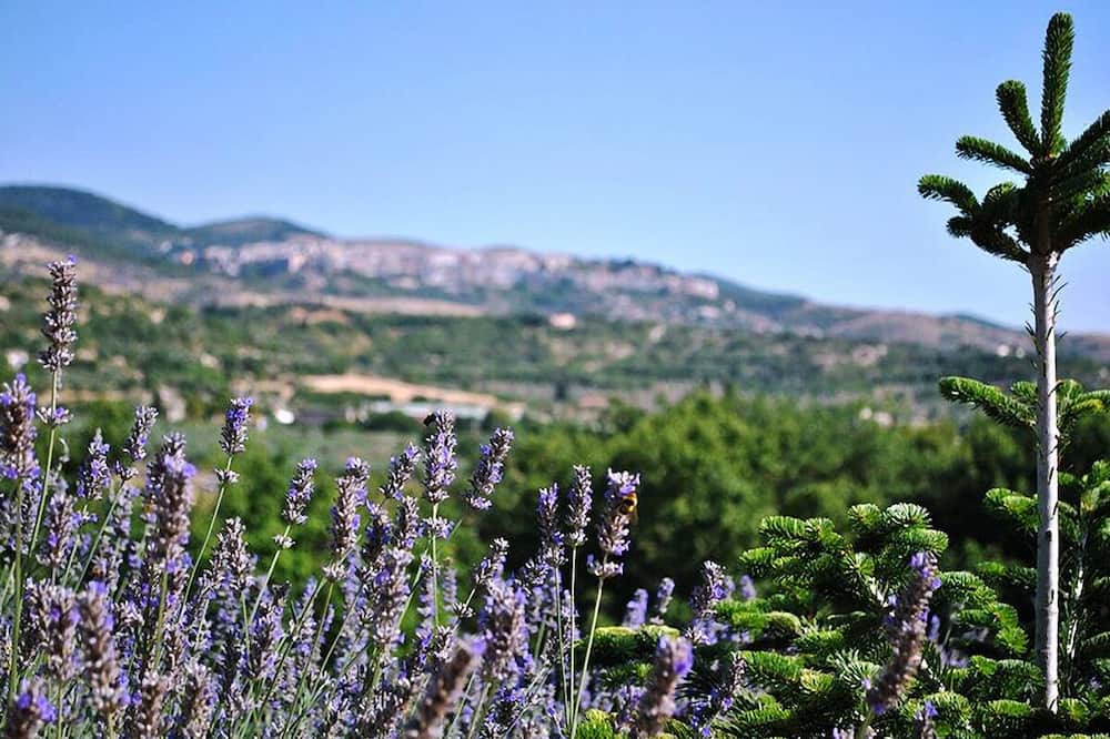 Photo of Outdoor in Chiaramonte Gulfi