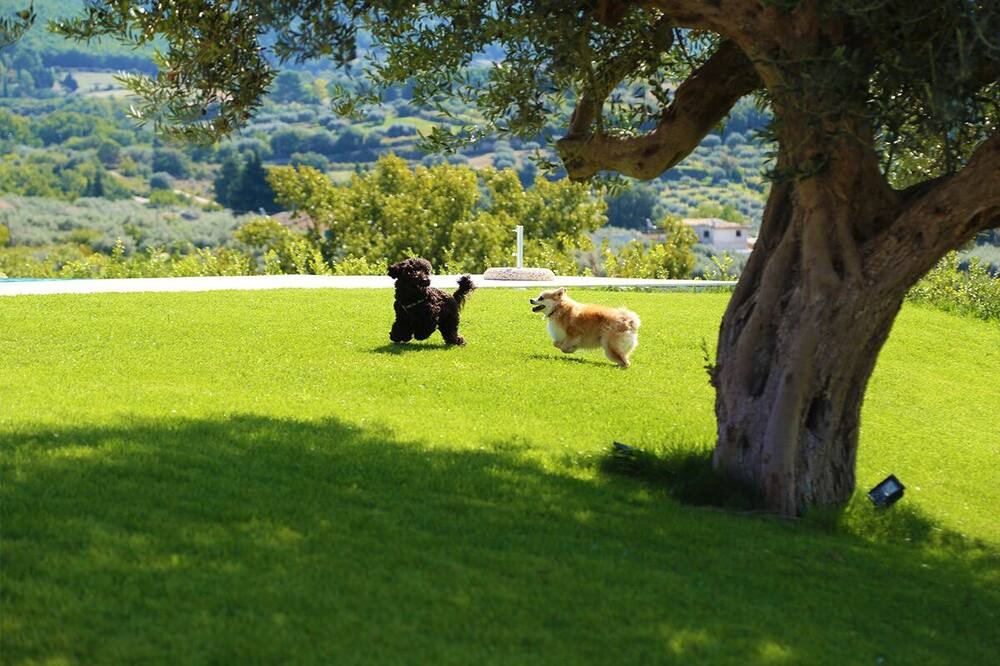Photo of Outdoor in Chiaramonte Gulfi