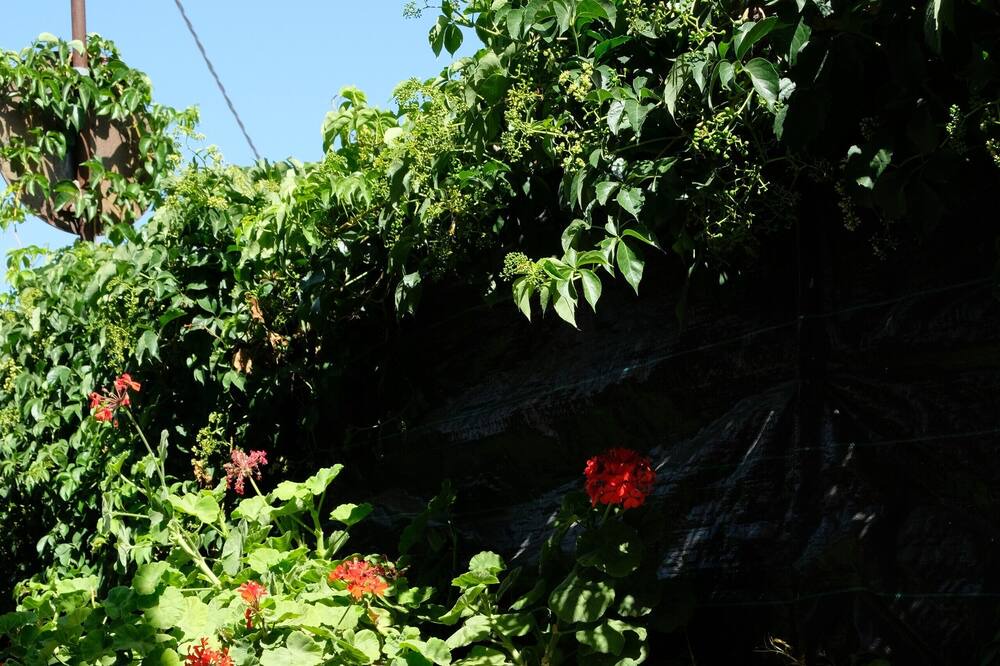 Photo of Outdoor in San Giorgio-Librino-San Giuseppe la Rena-Zia Lisa-Villaggio Sant'Agata