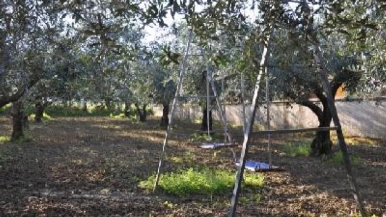 Photo of Outdoor in Partinico