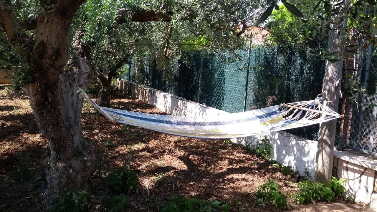 Photo of Outdoor in Partinico