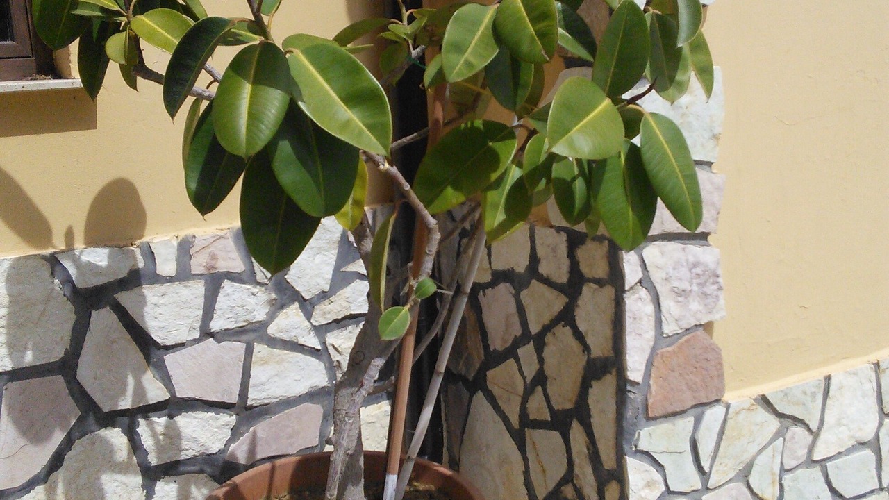 Photo of Outdoor in Partinico