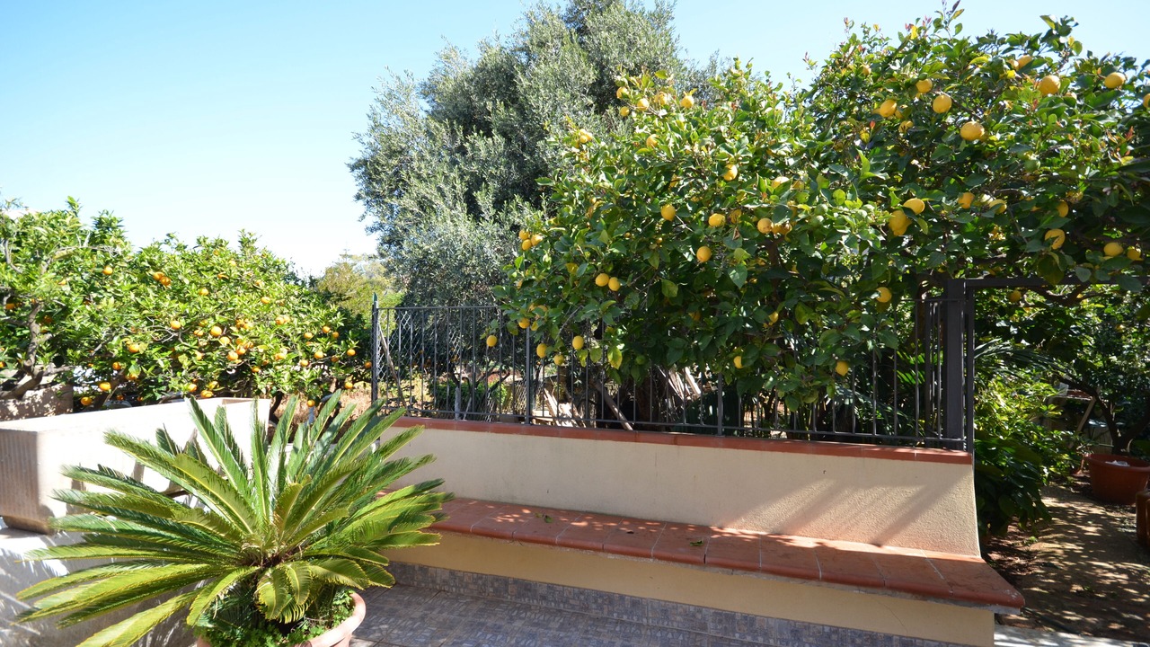 Photo of Outdoor in Castelluzzo