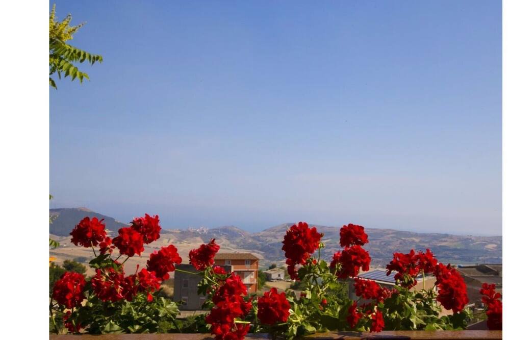Photo of Others in Agrigento