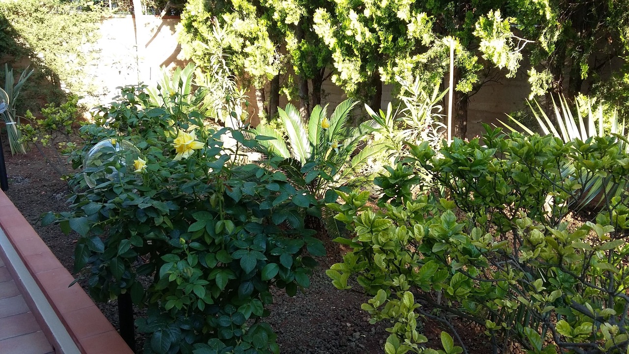 Photo of Outdoor in San Vito Lo Capo