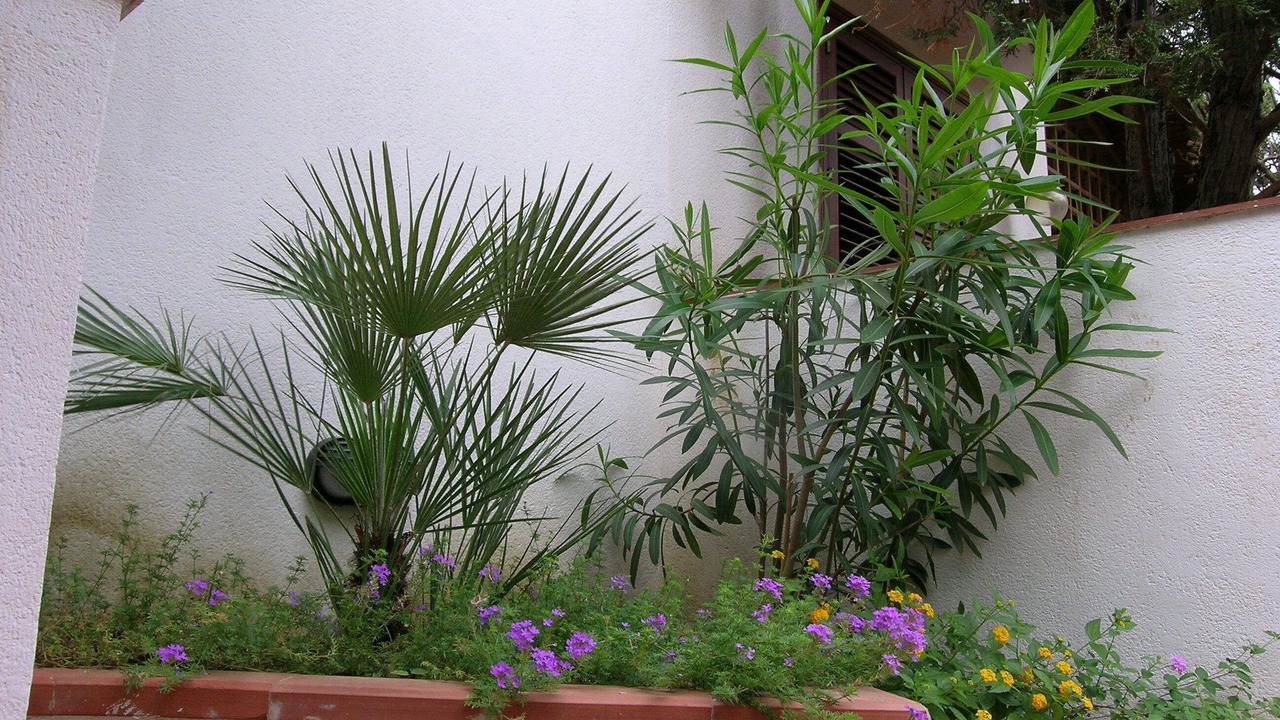 Photo of Outdoor in San Vito Lo Capo