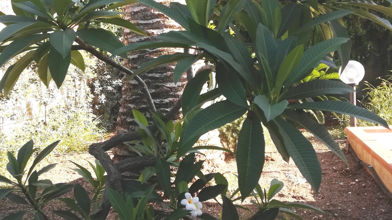 Photo of Outdoor in San Vito Lo Capo