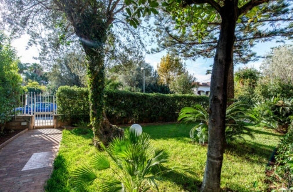 Photo of Outdoor in Mondello