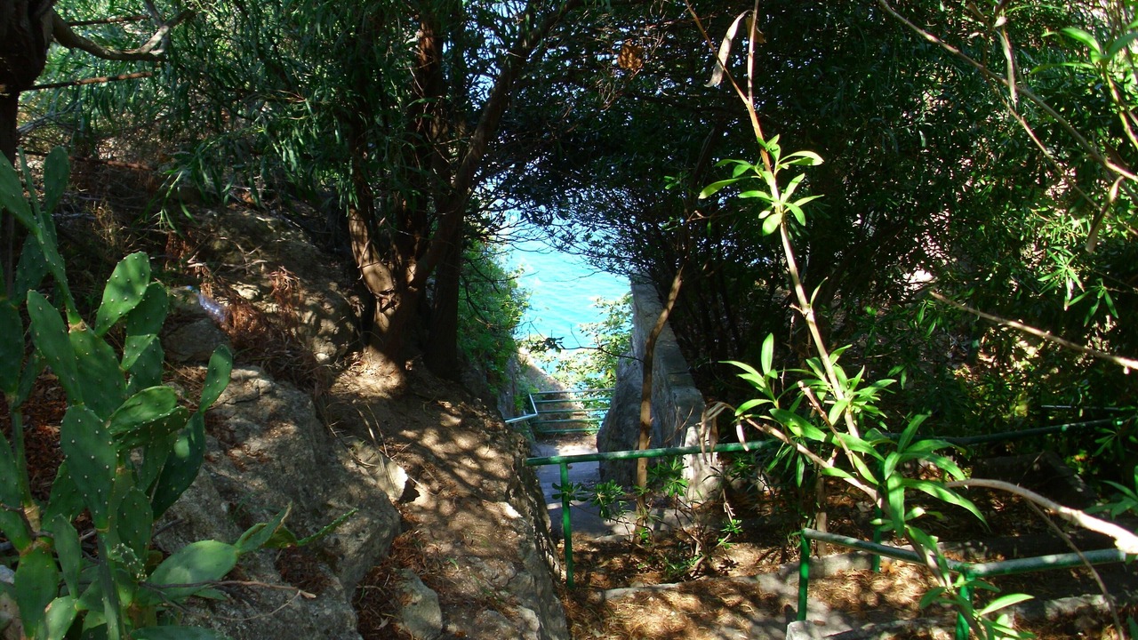Photo of Outdoor in Costa Saracena-Castelluccio
