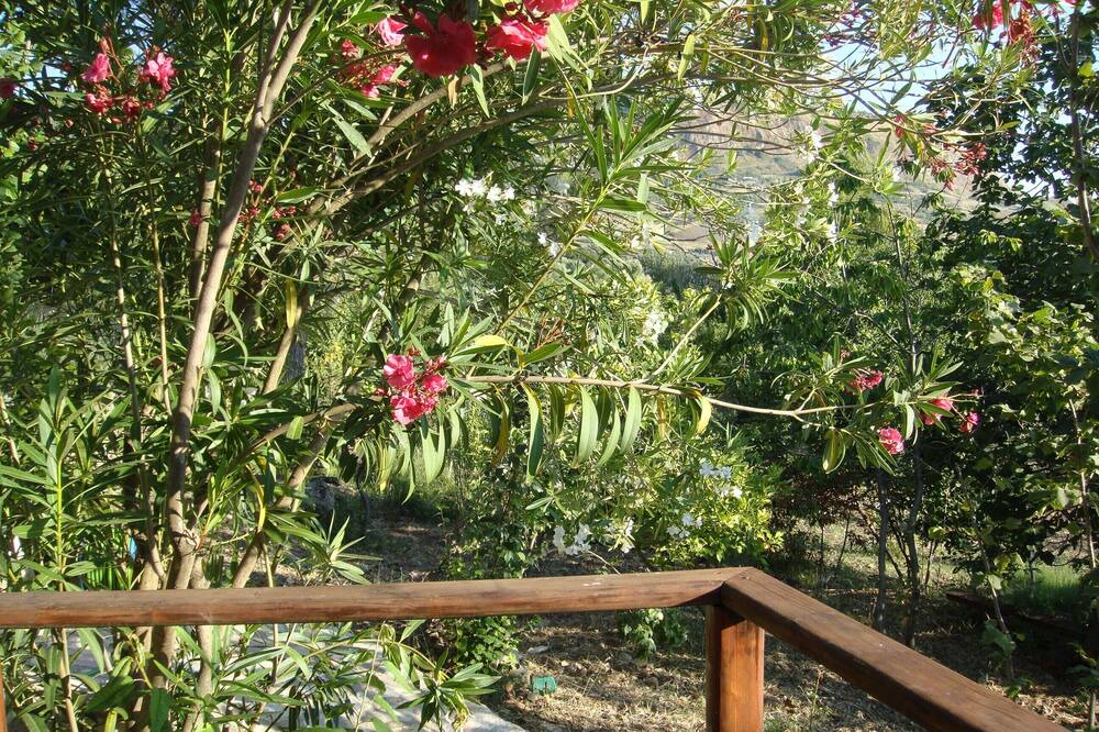 Photo of Outdoor in Madonie National Park