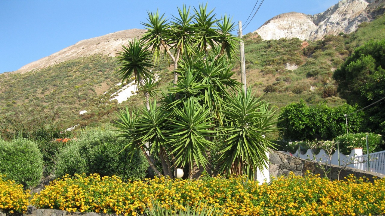 Photo of Outdoor in Vulcano Porto