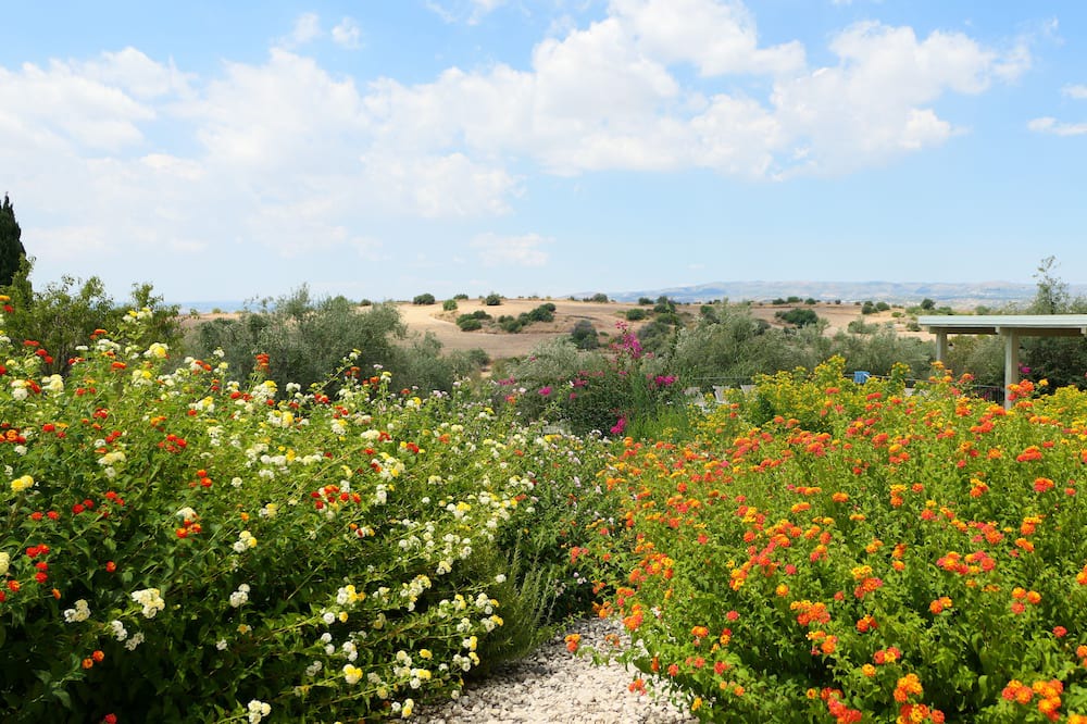 Photo of Outdoor in Noto
