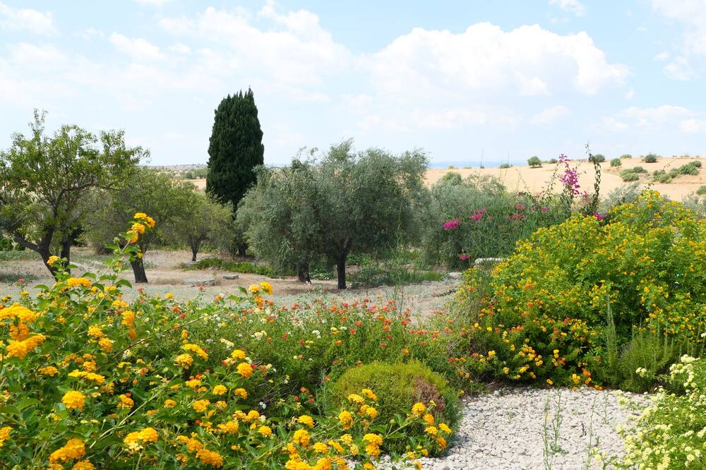 Photo of Outdoor in Noto