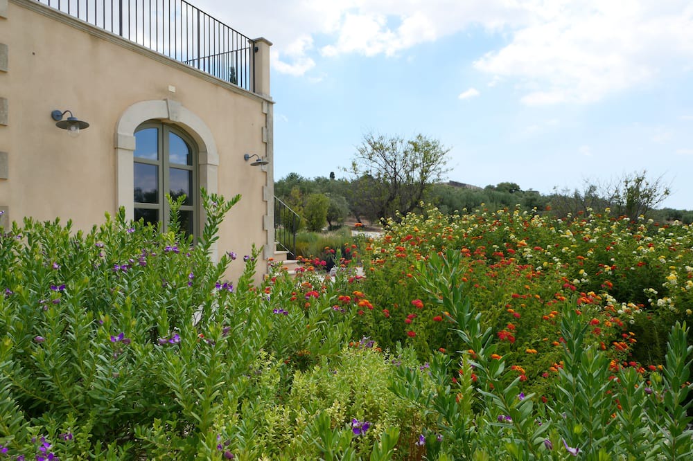 Photo of Outdoor in Noto