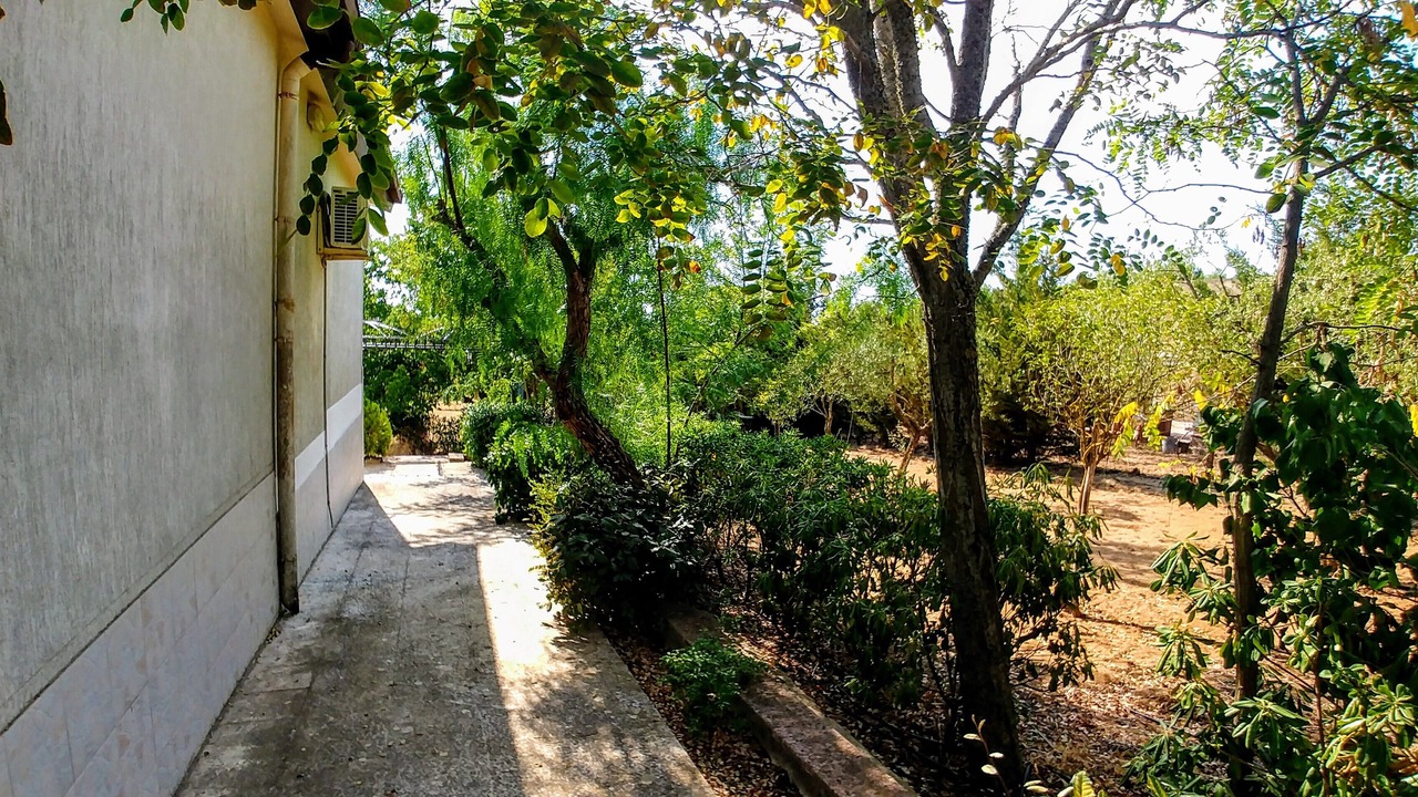 Photo of Outdoor in Piazza Armerina