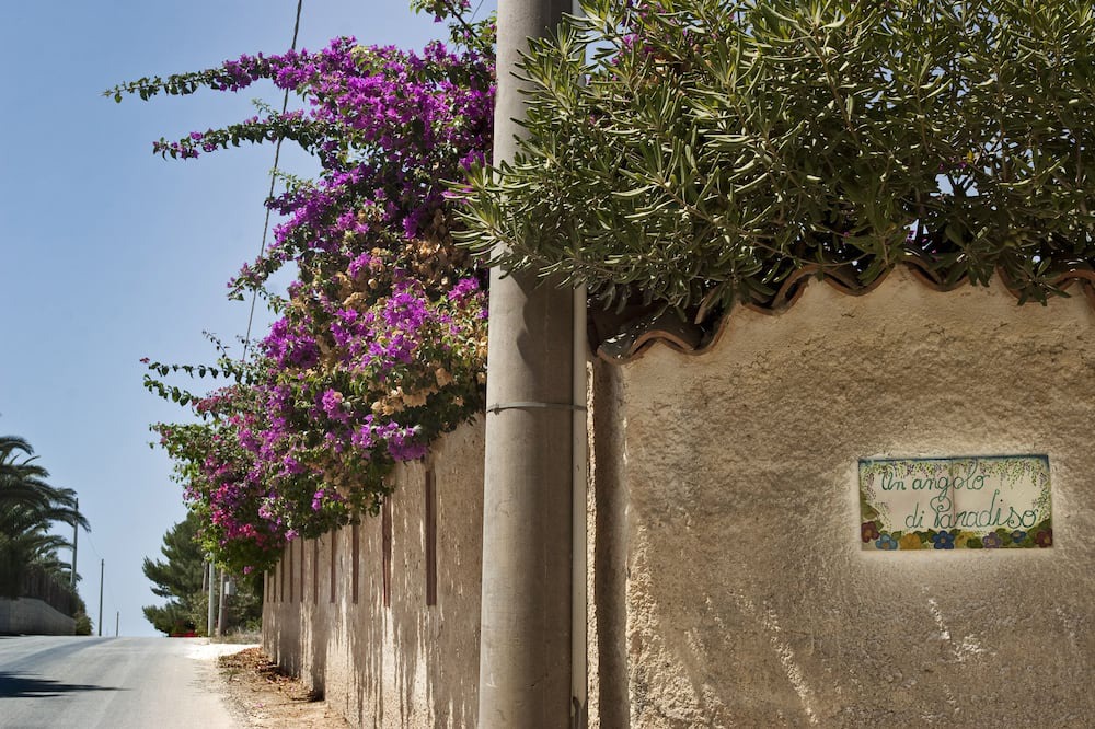 Photo of Outdoor in Fondo Morte