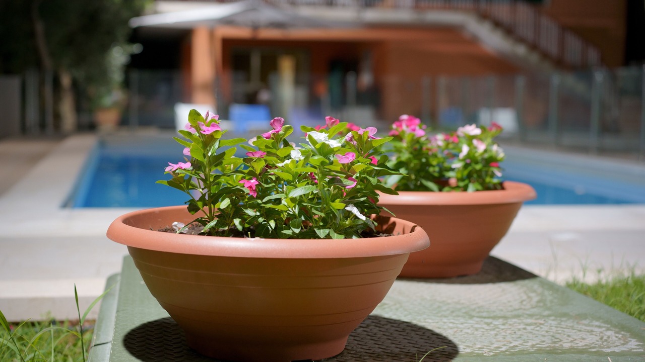Photo of Outdoor in Chiusa Cavalli