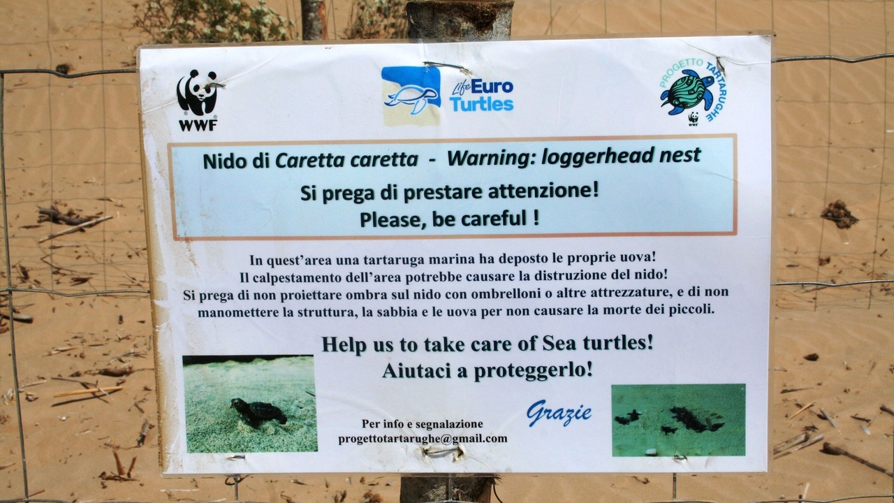 Photo of Outdoor in Marina di Modica