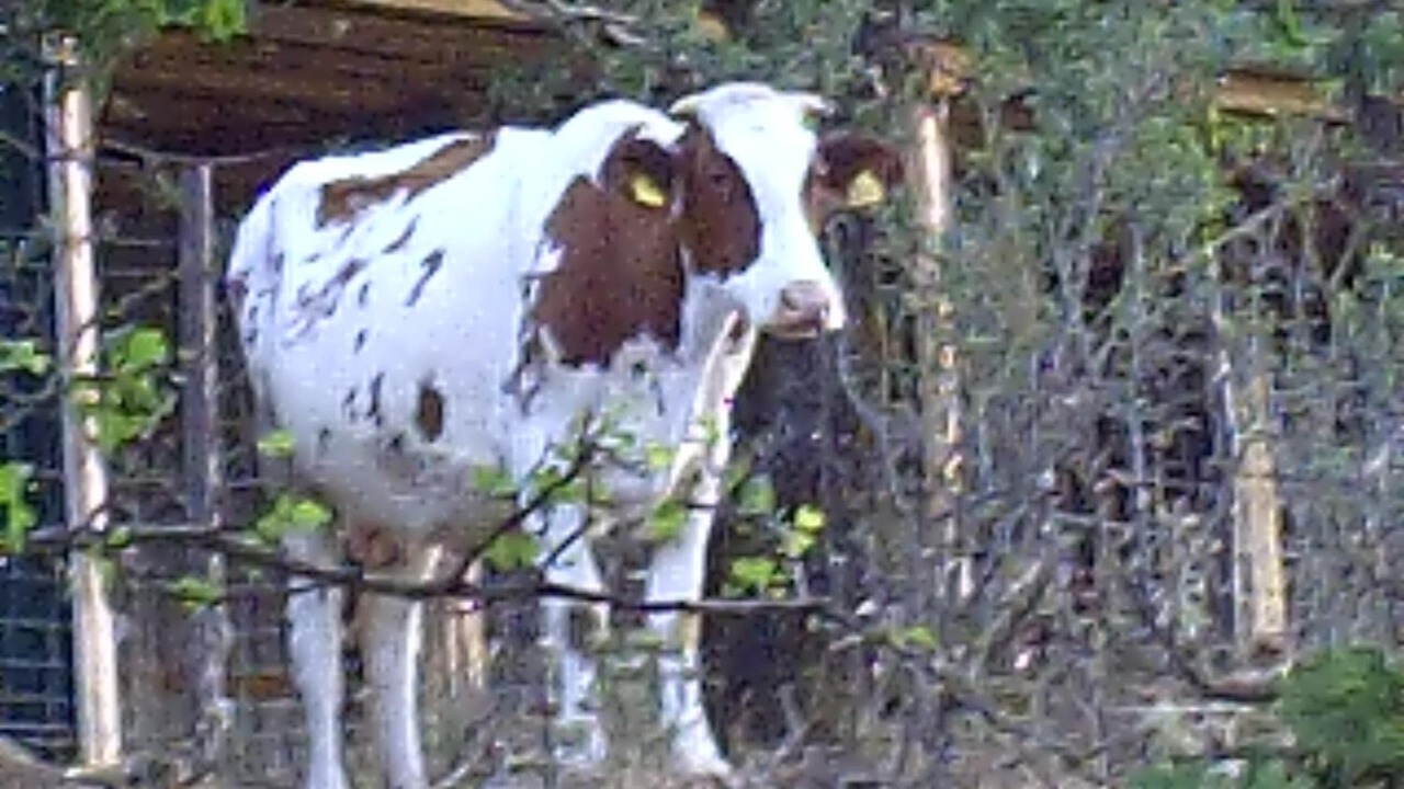 Photo of Outdoor in Gangi