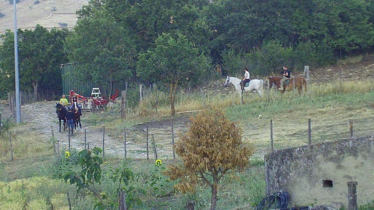 Photo of Others in Gangi