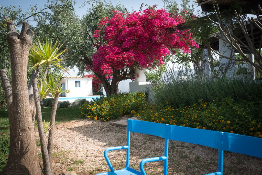 Photo of Outdoor in Caucana-finaiti-casuzze-finaiti Nord