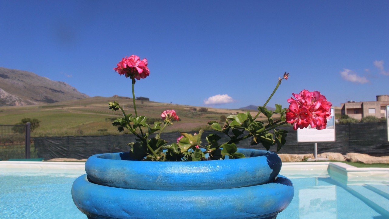 Photo of Outdoor in Mockarta