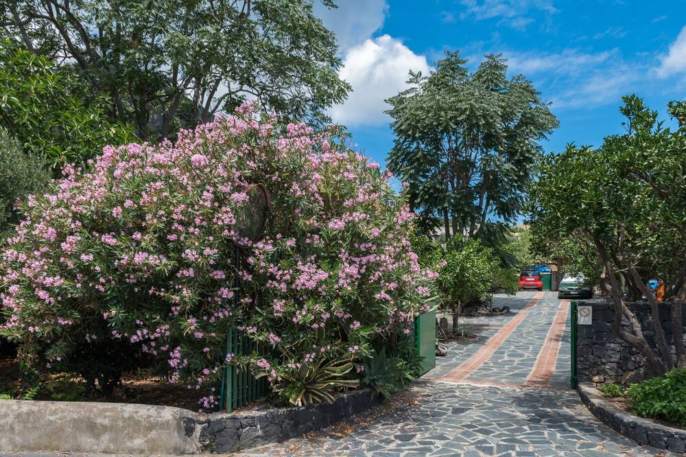 Photo of Outdoor in Leni