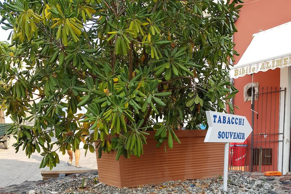 Photo of Outdoor in Leni