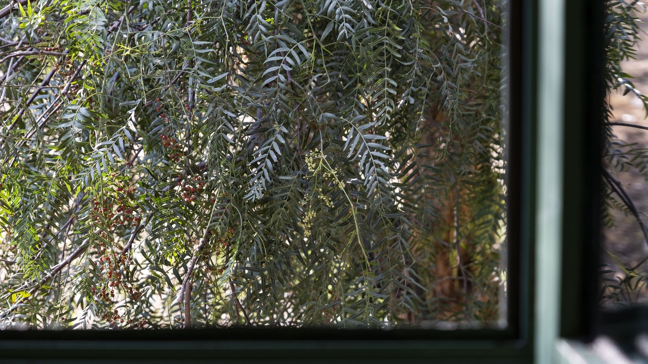 Photo of Bedroom in Campobello di Licata