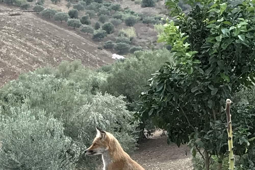 Photo of Others in Casteldaccia