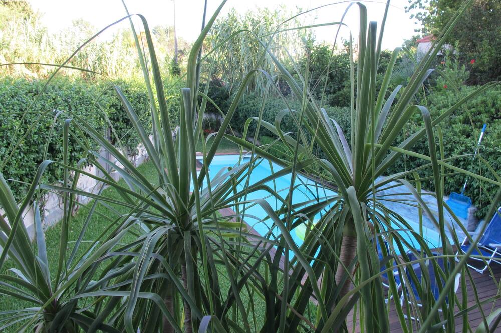 Photo of Outdoor in Mondello