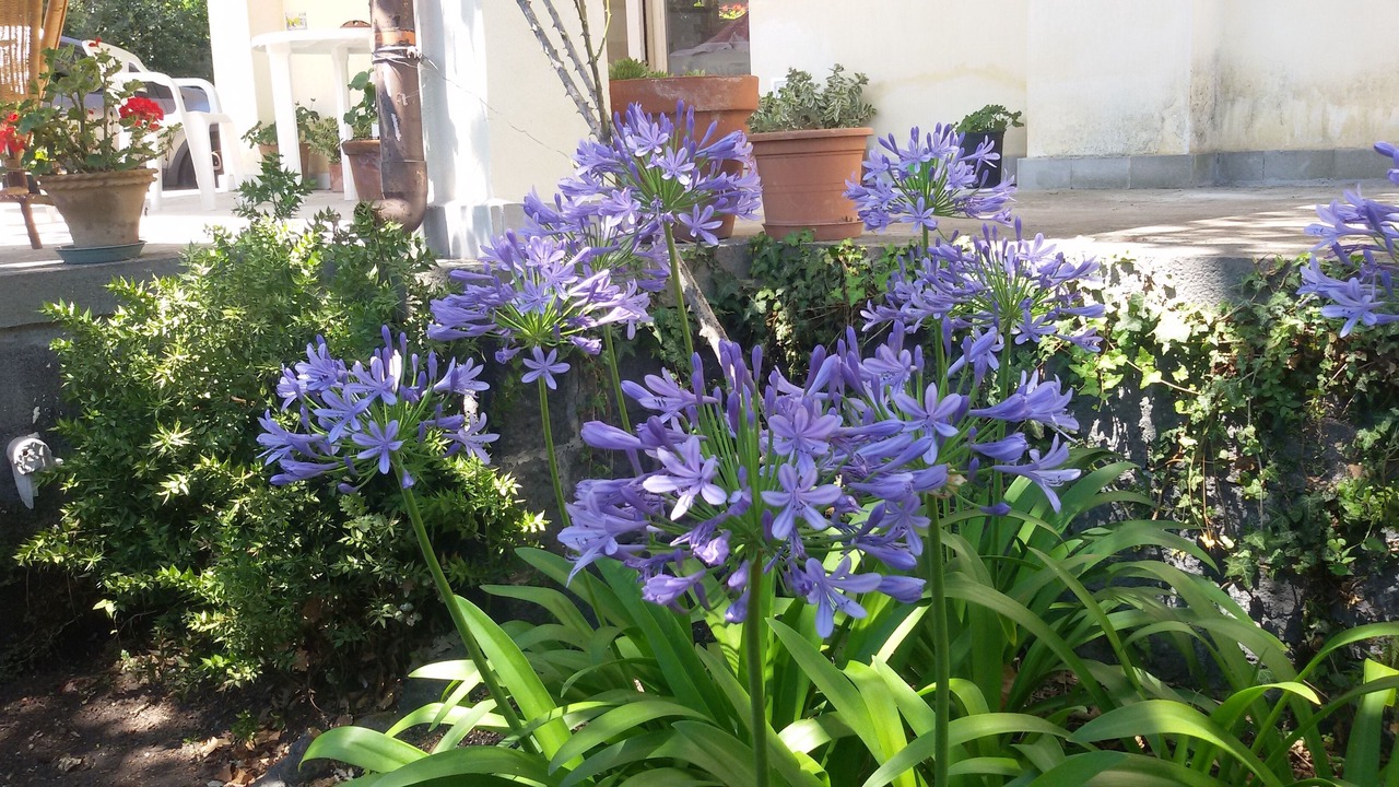 Photo of Outdoor in Fornazzo