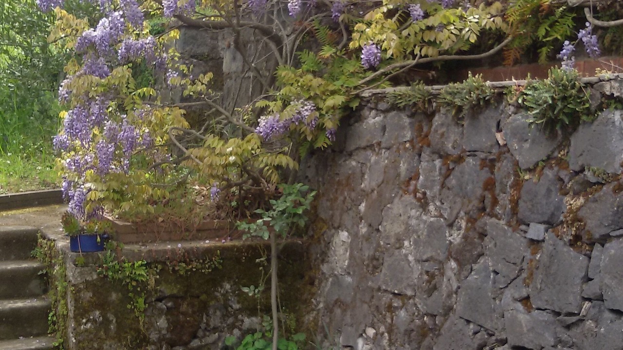 Photo of Outdoor in Fornazzo