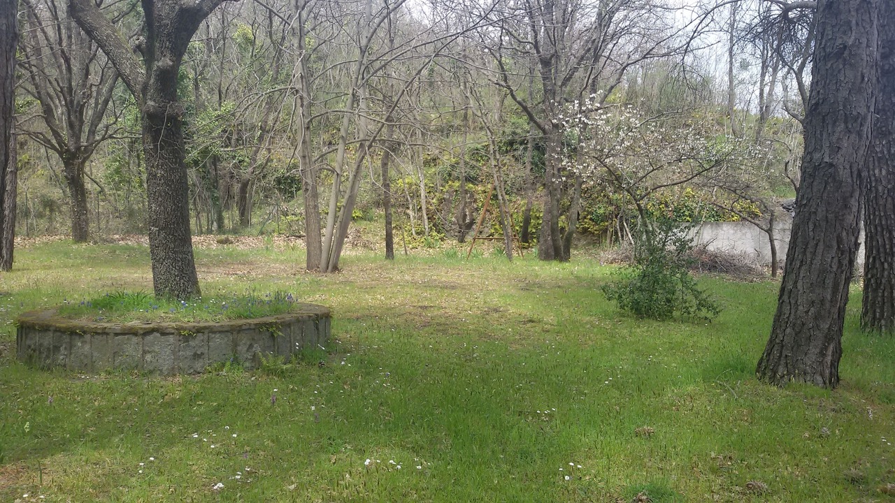 Photo of Outdoor in Fornazzo