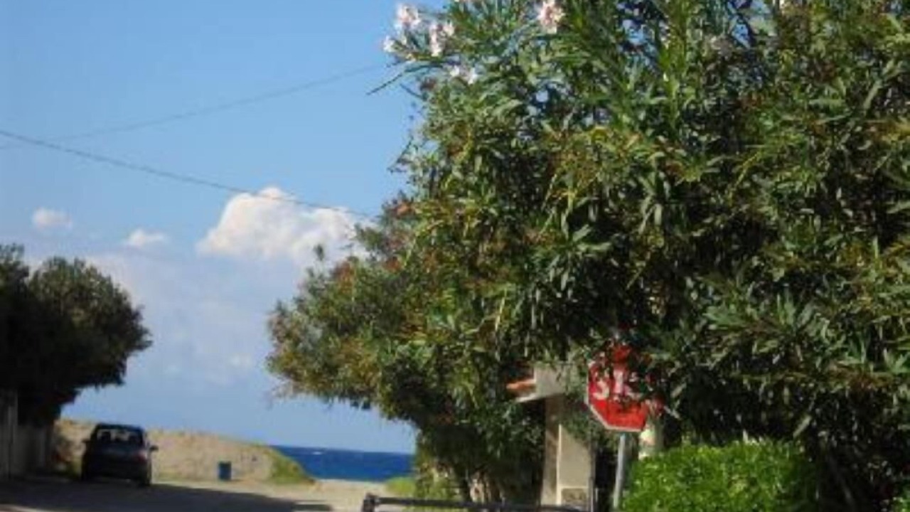 Photo of Outdoor in Marchesana