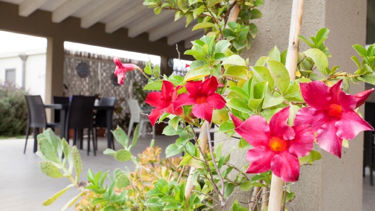 Photo of Outdoor in Santa Maria del Focallo
