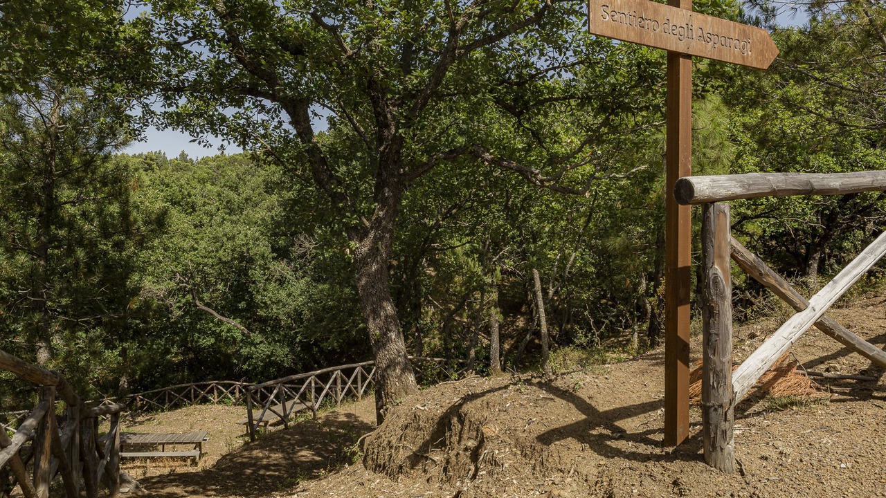 Photo of Outdoor in Collesano