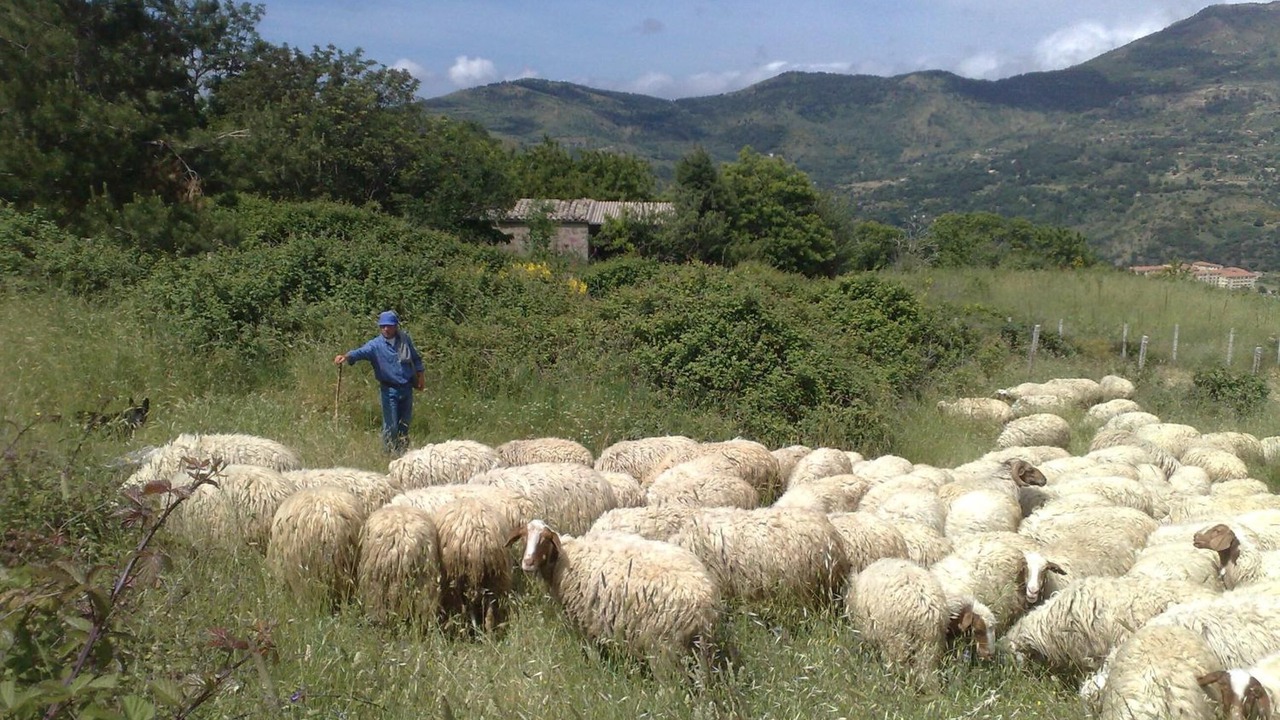 Photo of Outdoor in Petralia Soprana