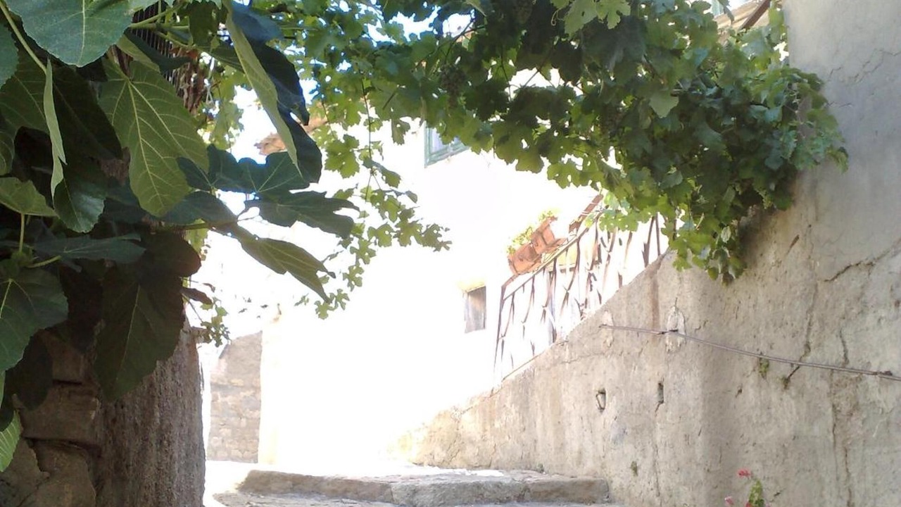 Photo of Outdoor in Petralia Soprana