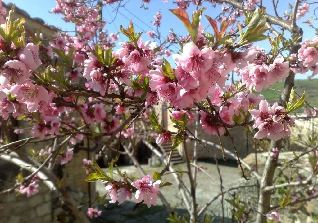 Photo of Outdoor in Petralia Soprana