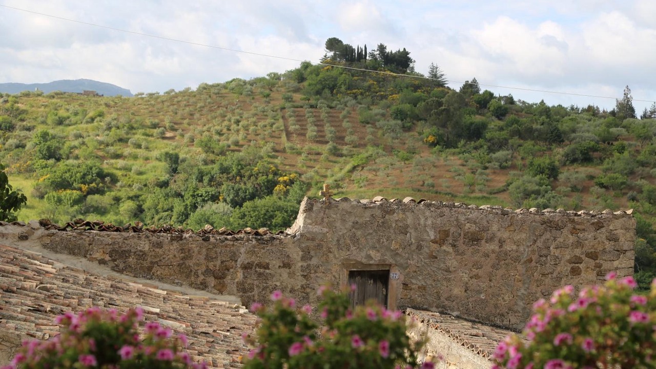 Photo of Outdoor in Petralia Soprana