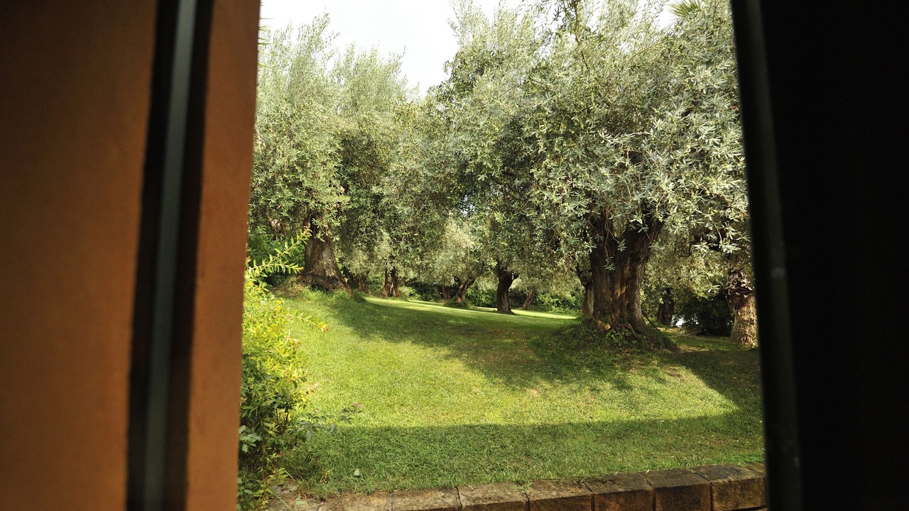 Photo of Others in Pietraperzia