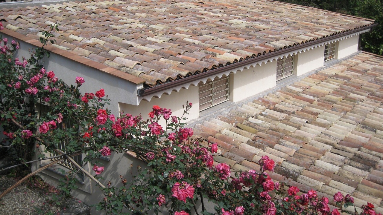 Photo of Outdoor in Blandano