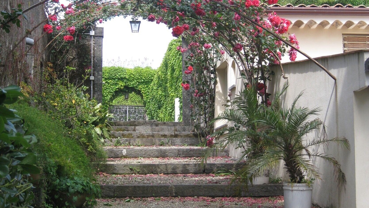 Photo of Outdoor in Blandano