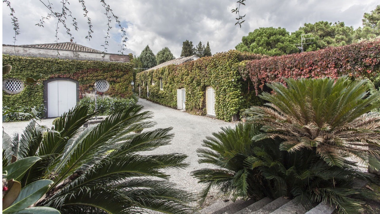 Photo of Outdoor in Blandano