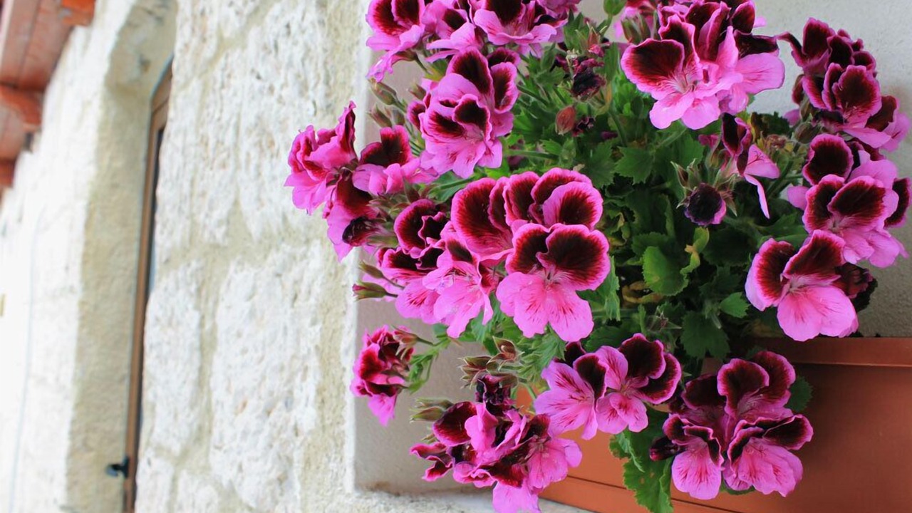 Photo of Outdoor in Caltanissetta