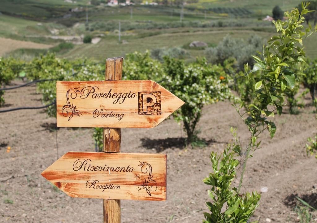 Photo of Outdoor in Caltanissetta
