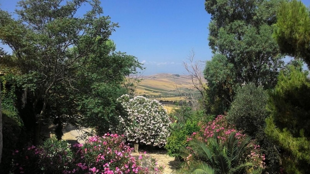 Photo of Outdoor in Campofiorito