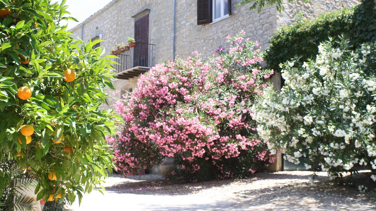 Photo of Outdoor in Campofiorito